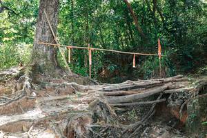 BIB: 
                            <button type="button" onclick="openModal(27801590)" class="btn btn-primary btn-sm float-right btn-popup" data-toggle="modal" data-target=".modal-high-quality">
                        <i class="fas fa-shopping-cart"></i> Add to Cart
                    </button>
                                            <button type="button" onclick="isThisMe(27801590, true)" class="btn btn-success btn-sm float-right btn-popup btn-isme hidden" data-toggle="tooltip" data-placement="bottom" title="นี่คือรูปของคุณใช่ไหม คลิกที่นี่เพื่อเอาเข้าอัลบั้ม">
                        <i class="fas fa-plus"></i> Add to album
                    </button>
                    <button type="button" onclick="isThisMe(27801590, false)" class="btn btn-warning btn-sm float-right btn-popup btn-isnotme hidden">
                        <i class="fas fa-ban"></i> Remove from album
                    </button>